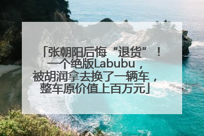 张朝阳后悔“退货”！一个绝版Labubu，被胡润拿去换了一辆车，整车原价值上百万元