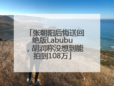 张朝阳后悔送回绝版Labubu，胡润称没想到能拍到108万