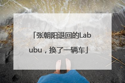 张朝阳退回的Labubu，换了一辆车