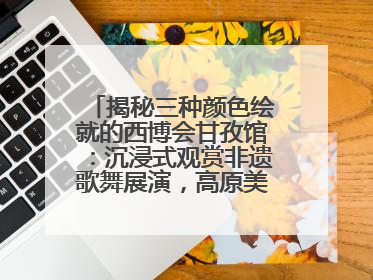 揭秘三种颜色绘就的西博会甘孜馆：沉浸式观赏非遗歌舞展演，高原美味从头吃到尾