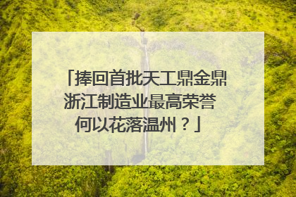 捧回首批天工鼎金鼎 浙江制造业最高荣誉何以花落温州？