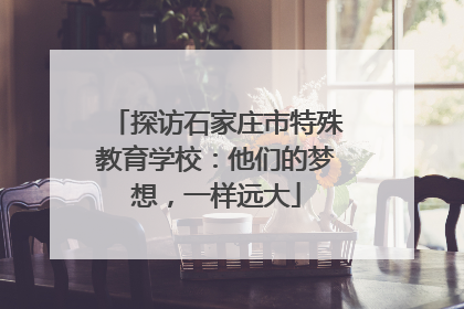 探访石家庄市特殊教育学校：他们的梦想，一样远大