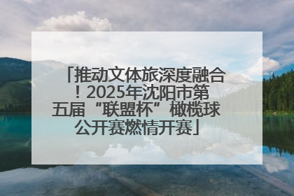 推动文体旅深度融合！2025年沈阳市第五届“联盟杯”橄榄球公开赛燃情开赛