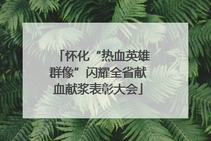 怀化“热血英雄群像”闪耀全省献血献浆表彰大会
