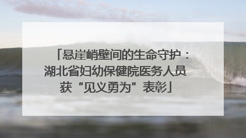悬崖峭壁间的生命守护：湖北省妇幼保健院医务人员获“见义勇为”表彰