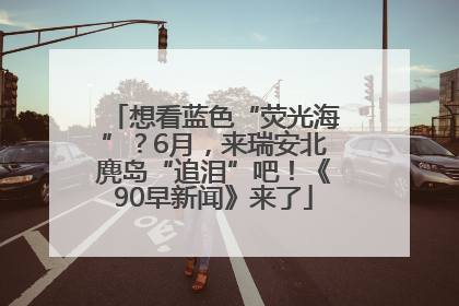 想看蓝色“荧光海”？6月，来瑞安北麂岛“追泪”吧！《90早新闻》来了