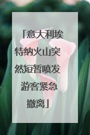 意大利埃特纳火山突然短暂喷发 游客紧急撤离