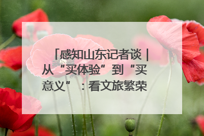感知山东记者谈｜从“买体验”到“买意义”：看文旅繁荣背后的幸福新定义