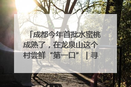 成都今年首批水蜜桃成熟了，在龙泉山这个村尝鲜“第一口”｜寻找和美乡村推荐官