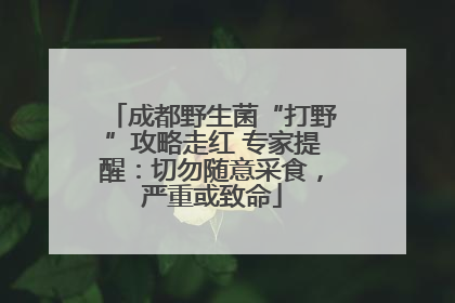 成都野生菌“打野”攻略走红 专家提醒：切勿随意采食，严重或致命