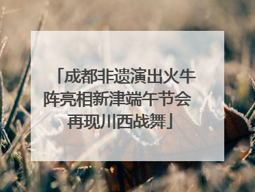 成都非遗演出火牛阵亮相新津端午节会 再现川西战舞