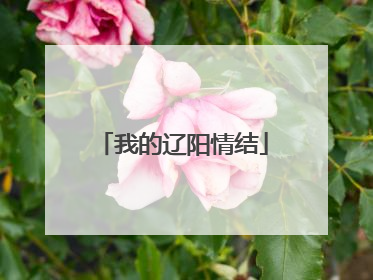 我的辽阳情结