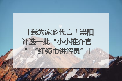 我为家乡代言！崇阳评选一批“小小推介官”“红领巾讲解员”