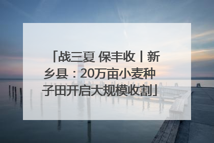 战三夏 保丰收丨新乡县：20万亩小麦种子田开启大规模收割