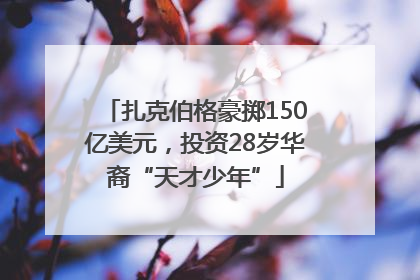 扎克伯格豪掷150亿美元，投资28岁华裔“天才少年”