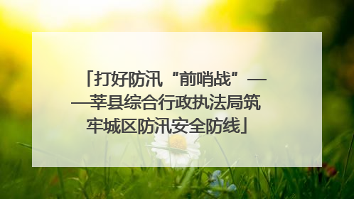 打好防汛“前哨战”——莘县综合行政执法局筑牢城区防汛安全防线