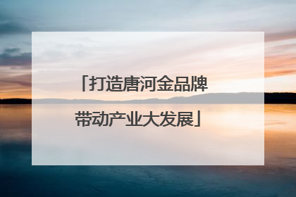 打造唐河金品牌 带动产业大发展