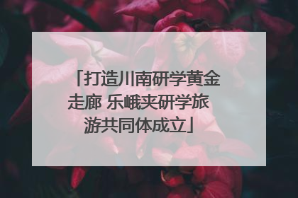 打造川南研学黄金走廊 乐峨夹研学旅游共同体成立