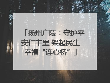 扬州广陵：守护平安仁丰里 架起民生幸福“连心桥”