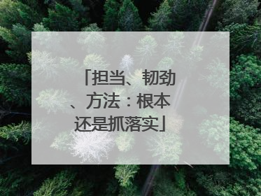 担当、韧劲、方法：根本还是抓落实