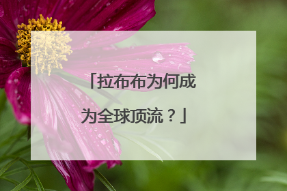 拉布布为何成为全球顶流？