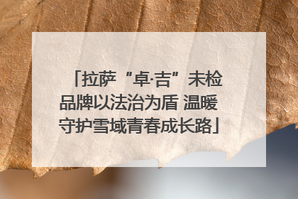 拉萨“卓·吉”未检品牌以法治为盾 温暖守护雪域青春成长路