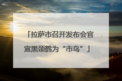 拉萨市召开发布会官宣黑颈鹤为“市鸟”