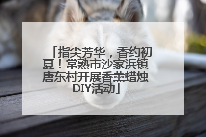 指尖芳华，香约初夏！常熟市沙家浜镇唐东村开展香薰蜡烛DIY活动