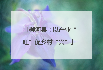 柳河县：以产业“旺”促乡村“兴”