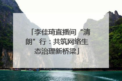 李佳琦直播间“清朗”行：共筑网络生态治理新桥梁