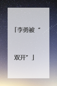 李勇被“双开”