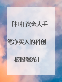 杠杆资金大手笔净买入的科创板股曝光