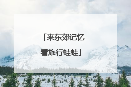 来东郊记忆 看旅行蛙蛙