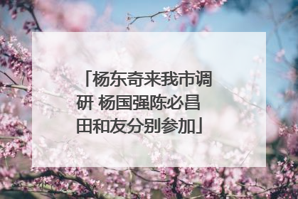 杨东奇来我市调研 杨国强陈必昌田和友分别参加