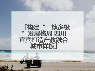 构建“一核多极”发展格局 四川宜宾打造产教融合城市样板