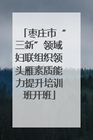 枣庄市“三新”领域妇联组织领头雁素质能力提升培训班开班