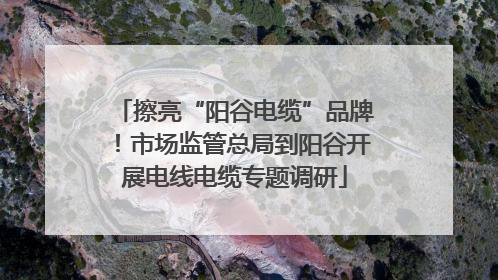 擦亮“阳谷电缆”品牌！市场监管总局到阳谷开展电线电缆专题调研