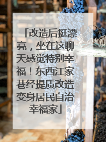 改造后挺漂亮，坐在这聊天感觉特别幸福！东西江家巷经提质改造变身居民自治幸福家