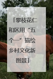 攀枝花仁和区用“五个一”描绘乡村文化新图景