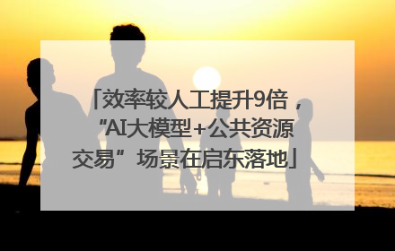 效率较人工提升9倍，“AI大模型+公共资源交易”场景在启东落地