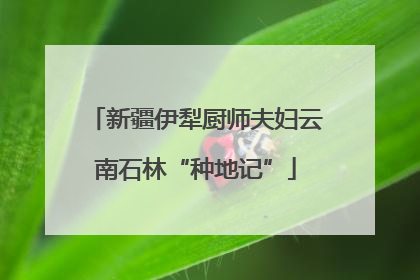 新疆伊犁厨师夫妇云南石林“种地记”