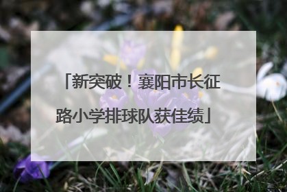 新突破！襄阳市长征路小学排球队获佳绩