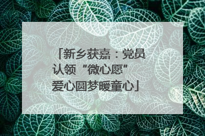 新乡获嘉：党员认领“微心愿” 爱心圆梦暖童心