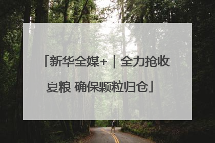 新华全媒+｜全力抢收夏粮 确保颗粒归仓