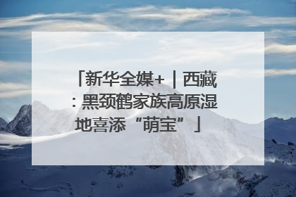 新华全媒+｜西藏：黑颈鹤家族高原湿地喜添“萌宝”