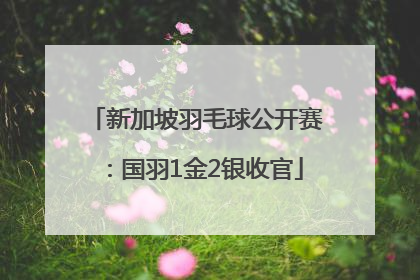 新加坡羽毛球公开赛：国羽1金2银收官