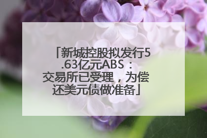 新城控股拟发行5.63亿元ABS：交易所已受理，为偿还美元债做准备