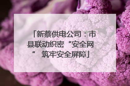 新蔡供电公司：市县联动织密“安全网” 筑牢安全屏障