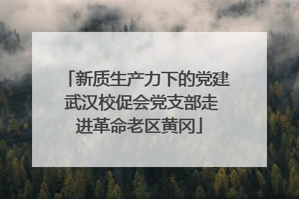 新质生产力下的党建 武汉校促会党支部走进革命老区黄冈