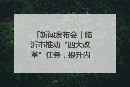 新闻发布会｜临沂市推动“四大改革”任务，提升内部审计监督效能
